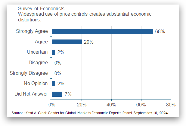 Economists on Election Issues